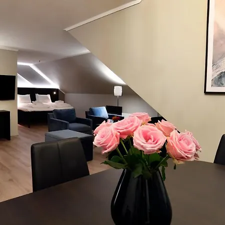 Thon Partner Baronen Hotel 3*