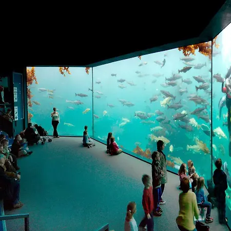 Thon Baronen Hotel 3*