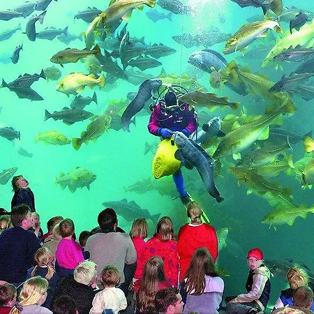 Thon Baronen Hotel 3*