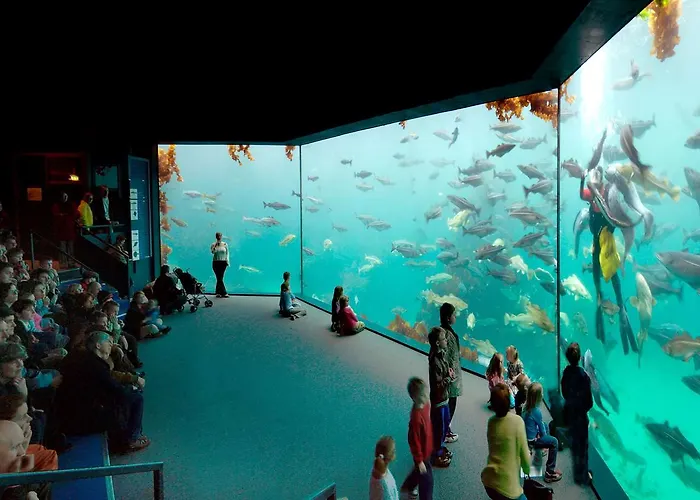 Thon Baronen فندق 3*